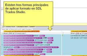 Formatos en SDL Trados Studio